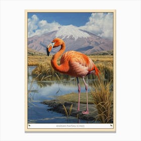 Greater Flamingo Andean Plateau Chile Tropical Illustration 2 Poster Canvas Print