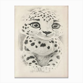 Snow Leopard Drawing By Person Canvas Print