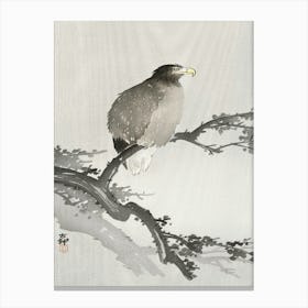White Tailed Eagle On Branch (1900 1930), Ohara Koson Canvas Print