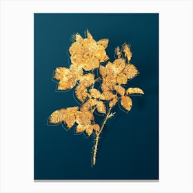 Vintage Twin Flowered White Rose Botanical in Gold on Teal Blue n.0186 Canvas Print