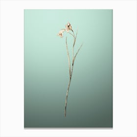 Gold Botanical Blue Pipe on Mint Green n.2415 Canvas Print
