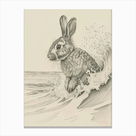 New Zealand Rabbit Drawing 3 Canvas Print