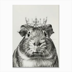 Guinea Pig With A Crown Canvas Print