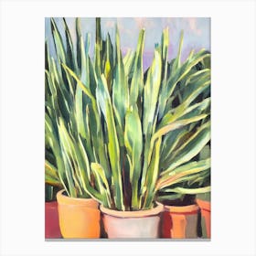 Sansevieria 3 Impressionist Painting Plant Canvas Print