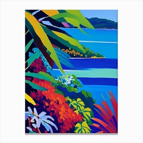 Taveuni Island Fiji Colourful Painting Tropical Destination Canvas Print