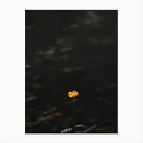 Single Flower In Water 2 Canvas Print