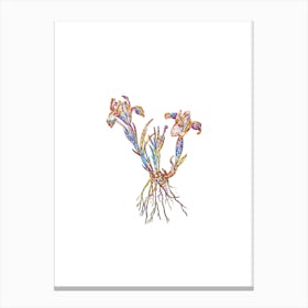 Stained Glass Sand Iris Mosaic Botanical Illustration on White n.0153 Canvas Print