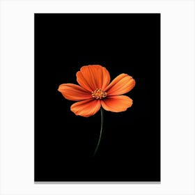 Orange Flower On Black Background 4 Canvas Print