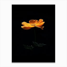 Cosmos 5 Canvas Print