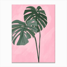 Monstera Plant 3 Canvas Print