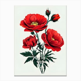 Red Poppy 1 Canvas Print