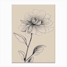 Dahlia Line Art Flowers Illustration Neutral 5 Canvas Print