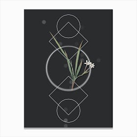 Vintage Gladiolus Inclinatus Botanical with Geometric Line Motif and Dot Pattern n.0336 Canvas Print