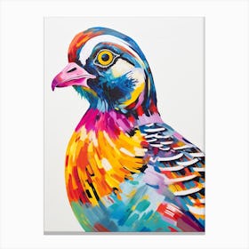 Colourful Bird Painting Partridge 4 Canvas Print