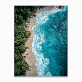 Aerial View Of A Tropical Beach Canvas Print