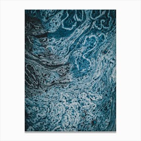 Blue Marble Canvas Print