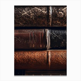 Old Books 13 Canvas Print