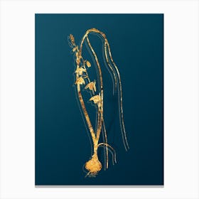 Vintage Albuca Botanical in Gold on Teal Blue Canvas Print