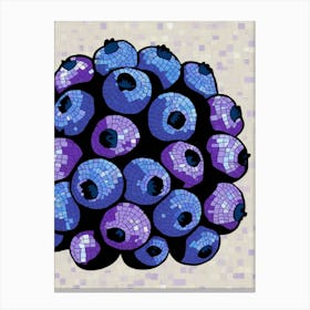 Blueberries 1 Canvas Print