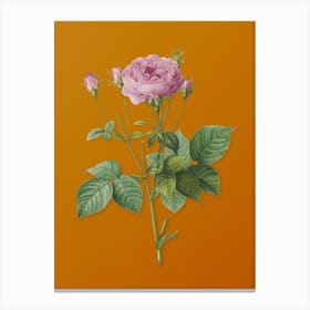 Vintage Pink French Roses Botanical on Sunset Orange n.0311 Canvas Print