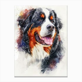 Bernese Mountain Dog Watercolor Painting 1 Canvas Print