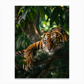 Tiger Resting In Tree Canvas Print