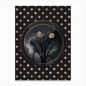 Shadowy Vintage Narcissus Candidissimus Botanical in Black and Gold n.0008 Canvas Print