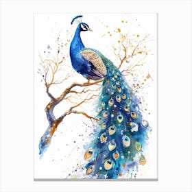 Watercolour Peacock On The Tree Branch 1 Canvas Print