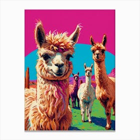 Llamas 2 Canvas Print