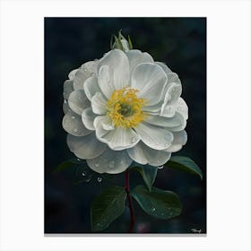 White Rose Canvas Print