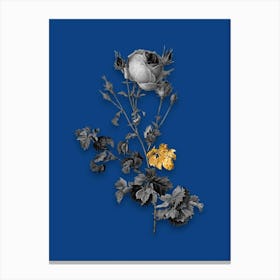 Vintage Celery Leaved Cabbage Rose Black and White Gold Leaf Floral Art on Midnight Blue n.0103 Canvas Print