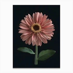 Pink Gerbera Flower Canvas Print