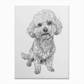 Bichon Frise Dog Line Drawing Sketch 4 Canvas Print