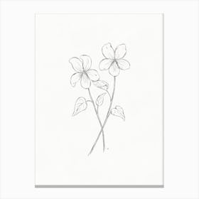 Violet Sketch Canvas Print