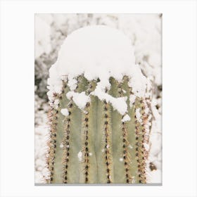 Saguaro In Snow Canvas Print