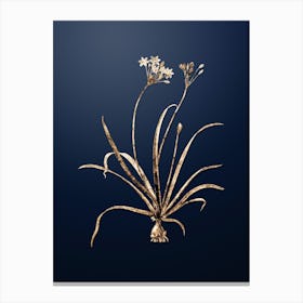 Gold Botanical Allium Fragrans on Midnight Navy n.1774 Canvas Print