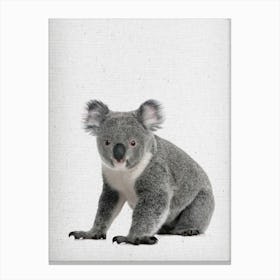 Koala I Canvas Print