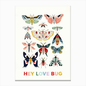 Love Bug Poster Canvas Print