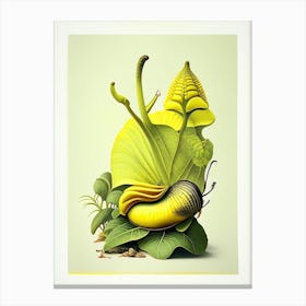 Snail With Yellow Background Botanical Canvas Print