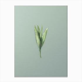 Vintage Autumn Crocus Botanical Art on Mint Green n.0029 Canvas Print