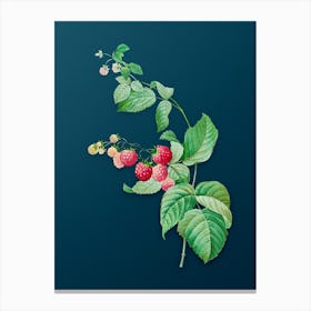 Vintage Red Berries Botanical Art on Teal Blue n.0313 Canvas Print