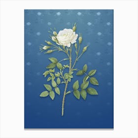 Vintage White Rose of Rosenberg Botanical on Bahama Blue Pattern n.0983 Canvas Print