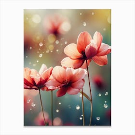 Pink Flowers With Water Droplets Canvas Print