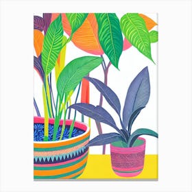 Calathea Eclectic Boho Plant Canvas Print