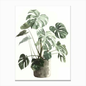 Monstera Plant 3 Canvas Print