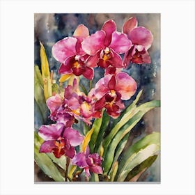 Lycaste Orchids Water Colour 1 Canvas Print