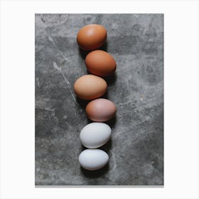 Row Of Eggs Canvas Print