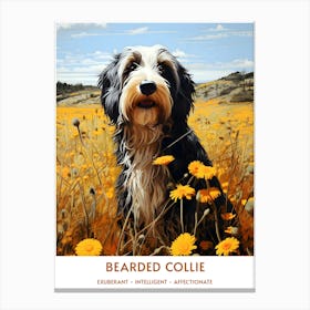 Vintage Bearded Collie Portrait Canvas Print