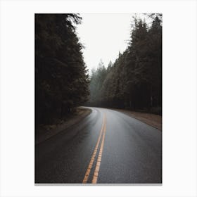 Road Through Forest Canvas Print