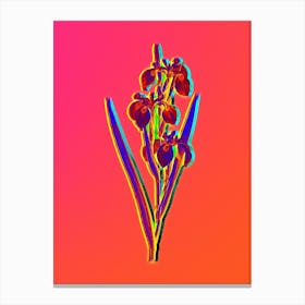 Neon Irises Botanical in Hot Pink and Electric Blue n.0232 Canvas Print